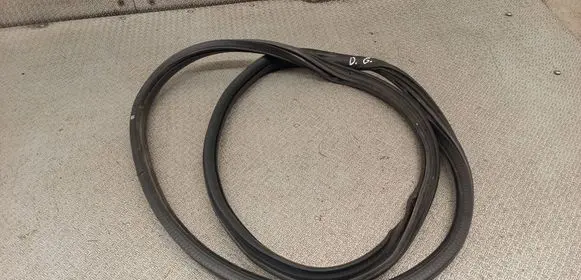 Citroen C3 Rubber seal rear door 9813059680