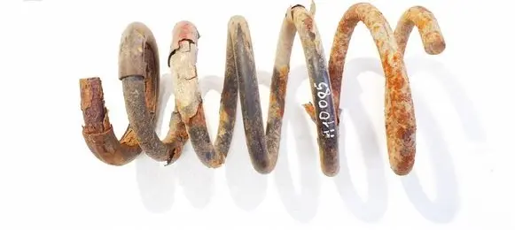 Rear coil spring
