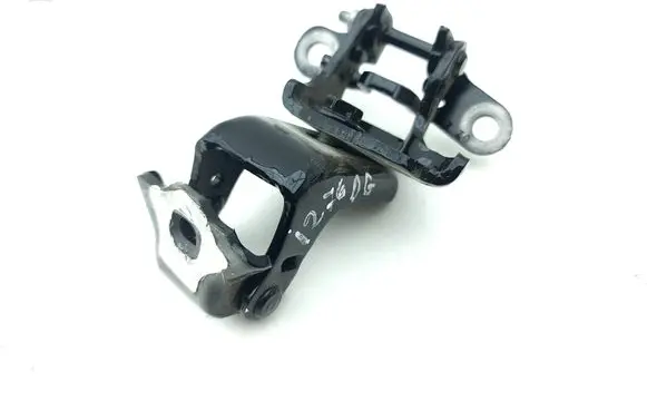 Renault Austral Rear door hinge set 