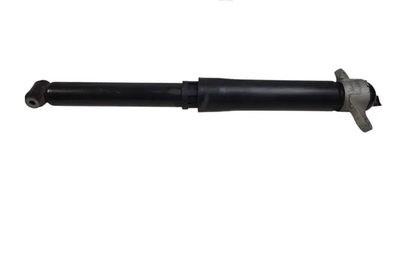 Ford Escape IV Rear shock absorber/damper LX6118080 LX6118080NBE GQXWF