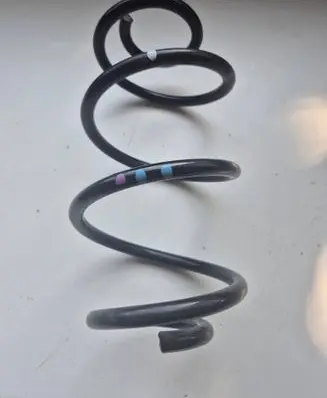 Rear coil spring
