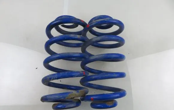Rear coil spring