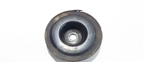 Coil spring mount