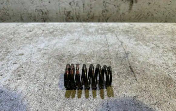 Dodge Challenger Valve spring 