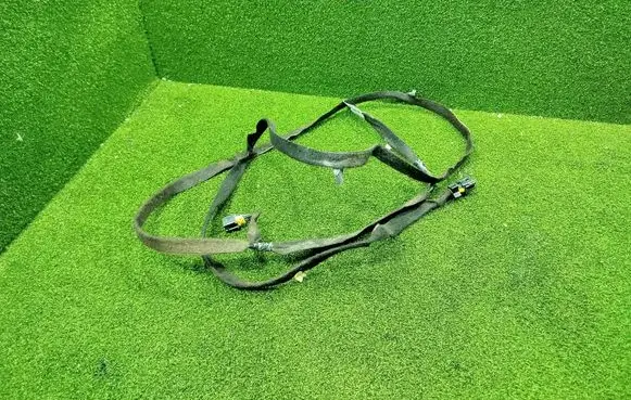 Renault Master III Other wiring loom 241640020R C0319020R 640020R