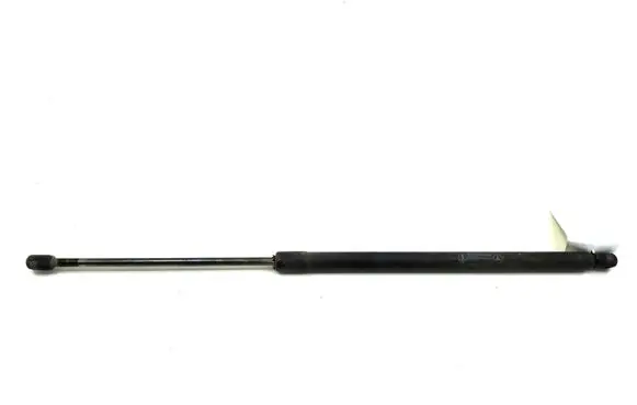 Tailgate strut