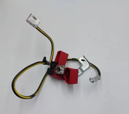Nissan Leaf II (ZE1) Positive cable (battery) 24805SH0B