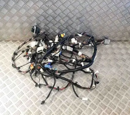 Tesla Model 3 Other wiring loom 106795400E
