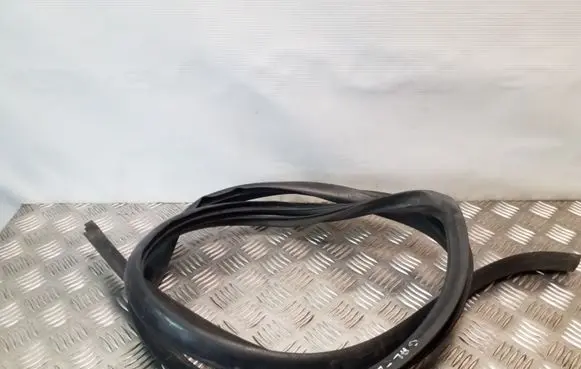 Suzuki Grand Vitara II Rear door rubber seal (on body) 