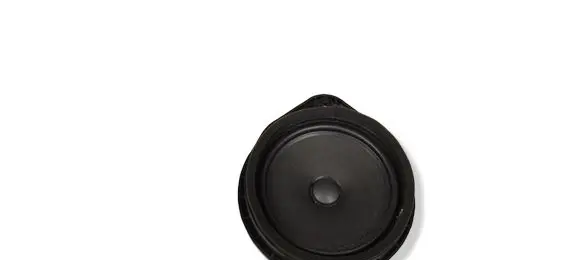 Opel Mokka X Front door speaker 13350328