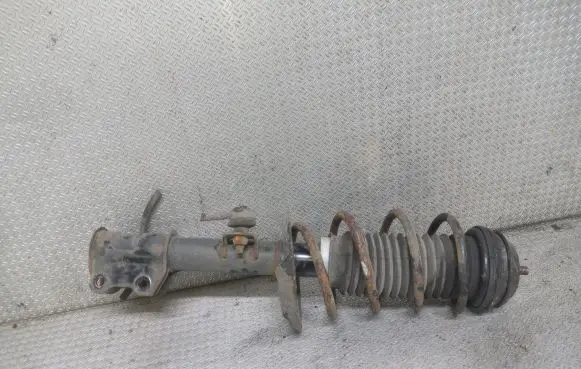 Fiat Punto Evo Front shock absorber with coil spring