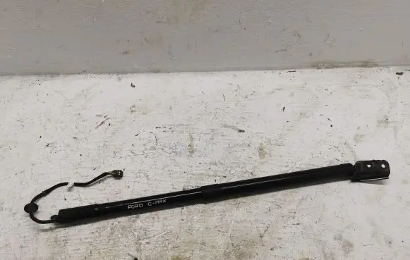 Ford C-MAX II Tailgate strut AM51-U404C85-AG