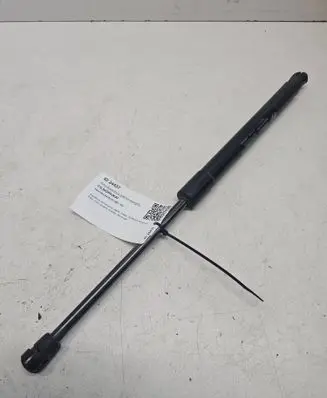 Tailgate/trunk strut/damper