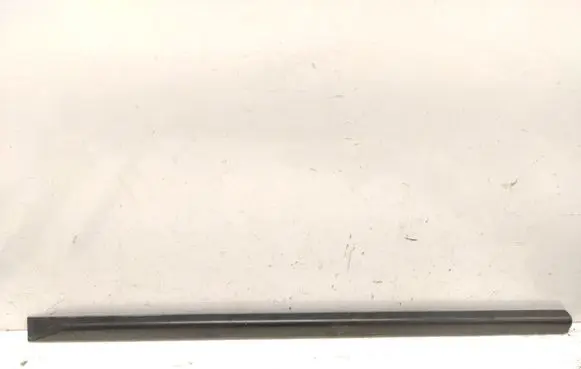 Front door trim (molding)