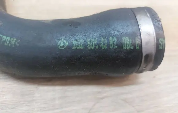 Mercedes-Benz CLK A208 C208 Engine coolant pipe/hose 2025014382