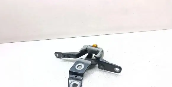 BMW 5 GT F07 Tailgate/trunk/boot hinge 7200533