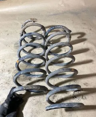 Rear coil spring