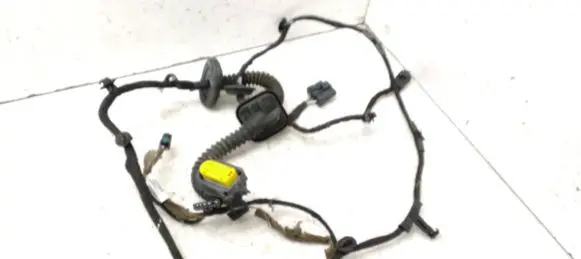 Rear door wiring loom