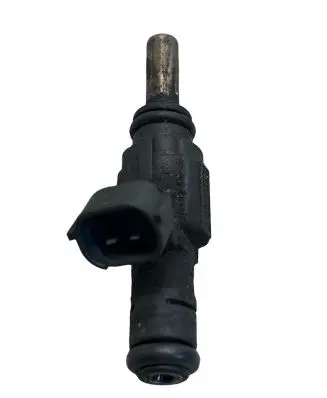 Seat Alhambra (Mk1) Fuel injector 0280157006