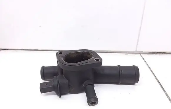 Thermostat/thermostat housing