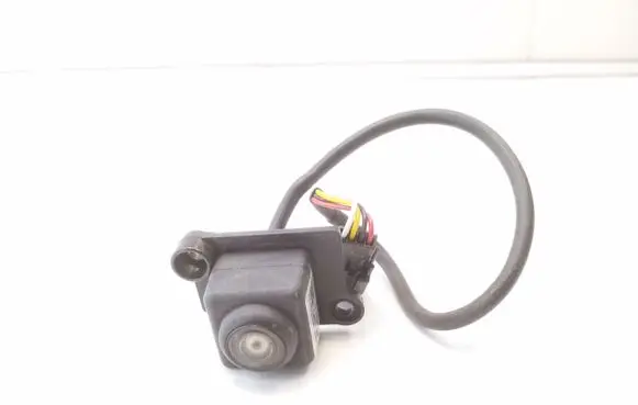 Renault Trafic III (X82) Reversing camera 284429417R
