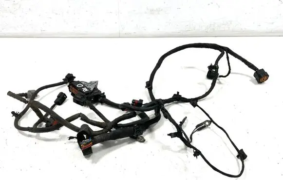 Hyundai ix20 Front door wiring loom 13598002