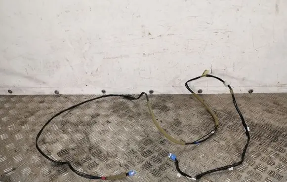 Subaru Forester SK Other wiring loom FOR19ANTENOSLAIDAS