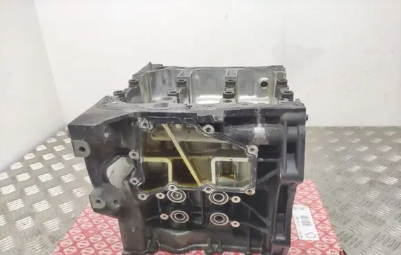 Volkswagen T-Roc Engine block 04C103023 CHZC20428 CHZC