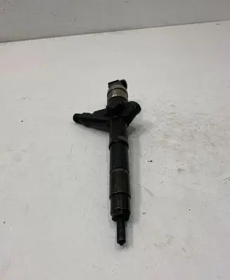 Nissan Pathfinder R51 Fuel injector 1660eb300