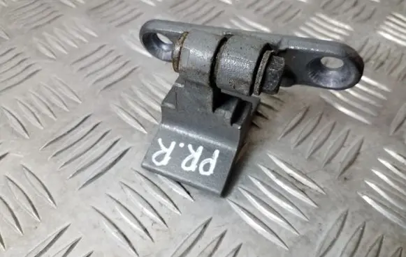 BMW 5 F10 F11 Front door lower hinge 7199576