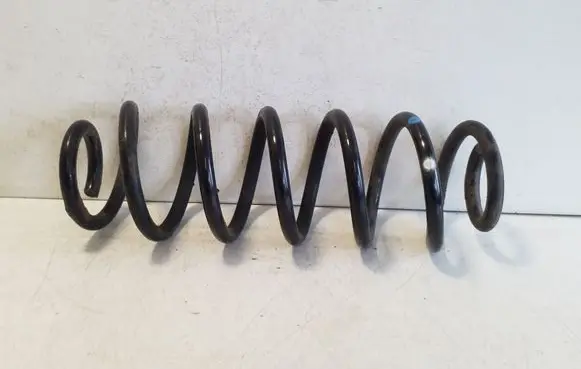 Rear coil spring
