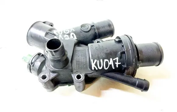 Thermostat/thermostat housing