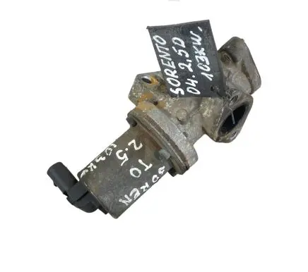 EGR valve