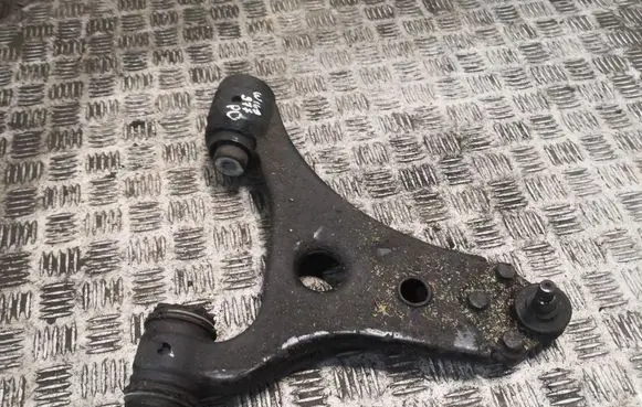Front lower control arm/wishbone