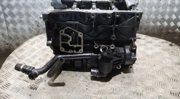 Seat Exeo (3R) Engine block CAGA