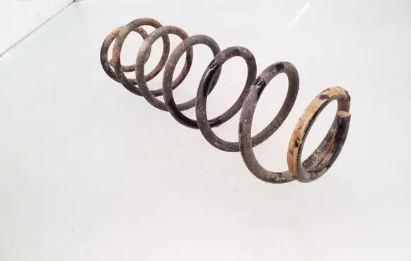 Rear coil spring