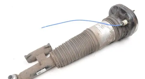BMW 7 G11 G12 Rear shock absorber/damper 13981113