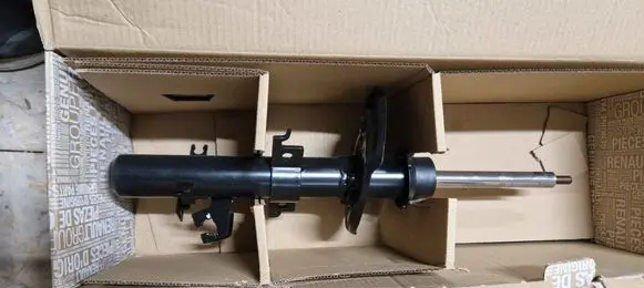 Nissan Qashqai Front shock absorber/damper 543034EA3A