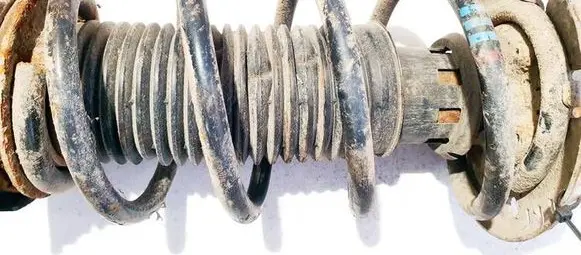 Skoda Roomster (5J) Front coil spring 