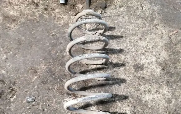 Rear coil spring