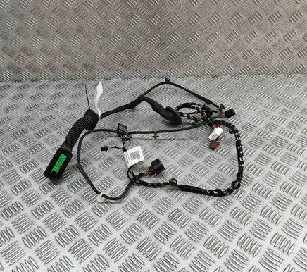 Porsche Taycan 9J1 Rear door wiring loom 9J1971693D