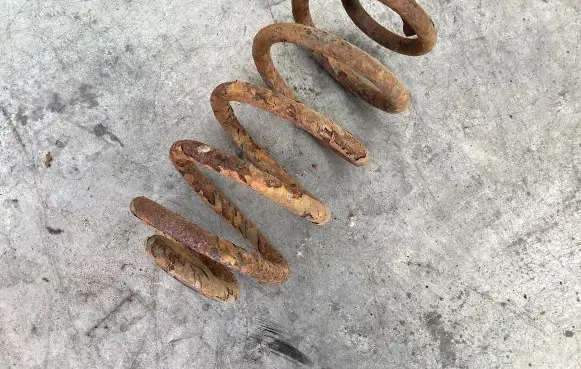 Opel Vectra C Rear coil spring