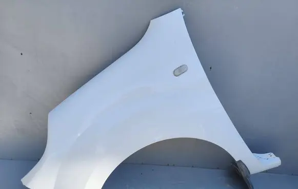 Renault Kangoo II Fender 631015870R