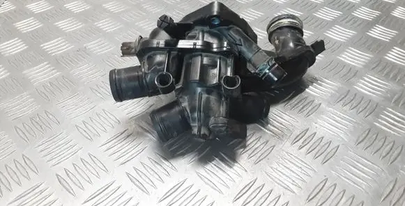 Thermostat/thermostat housing
