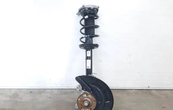 Volkswagen ID.4 Front shock absorber/damper 1EA412021BP