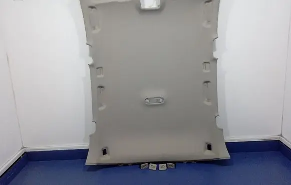 Audi Q5 SQ5 Headlining 