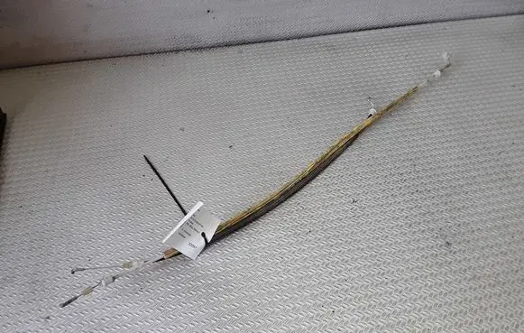 Rear door cable line