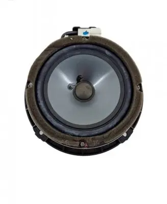 Rear door speaker