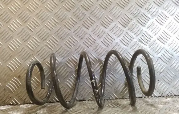 Rear coil spring