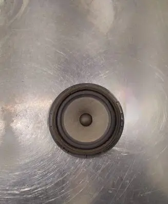Suzuki SX4 Rear door speaker